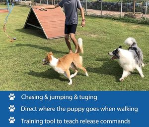 犬のためのインタラクティブな浮気ポールおもちゃペットフリースロープテザールアーおもちゃエクササイズトレーニングで耐久性のあるティーザーワンドを追いかける - Product Image 3