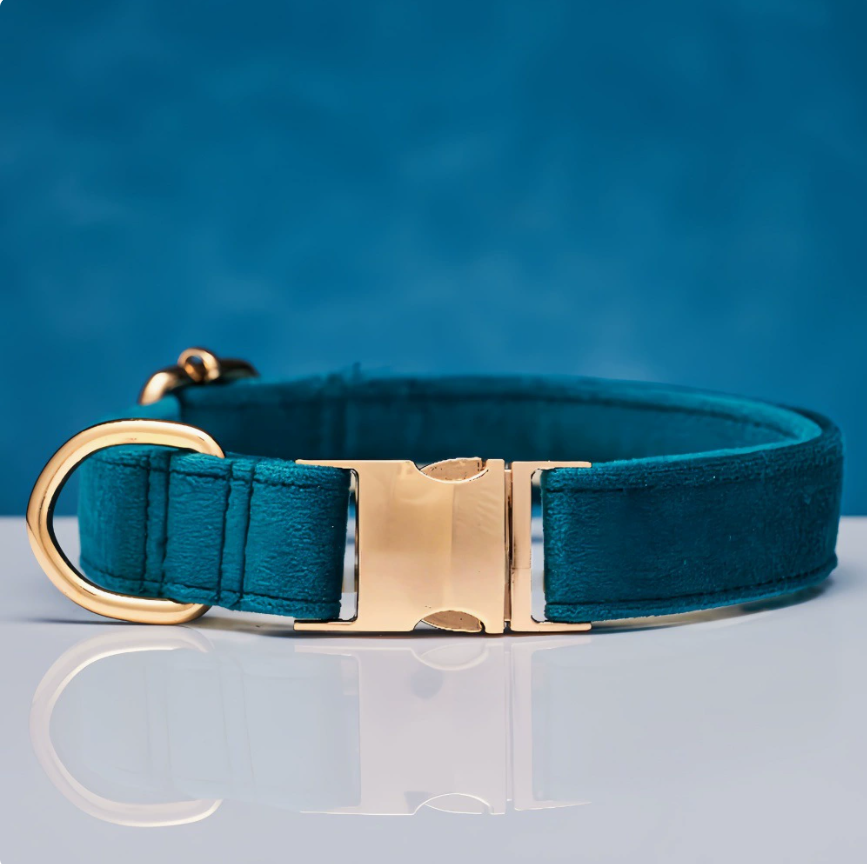 Bleu paon