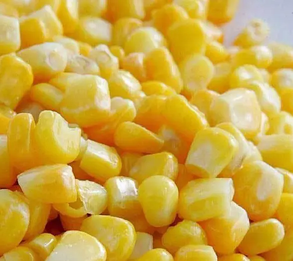 Animal Feed Best Prices Global Export Popular Yellow Frozen Iqf Corn Kernels