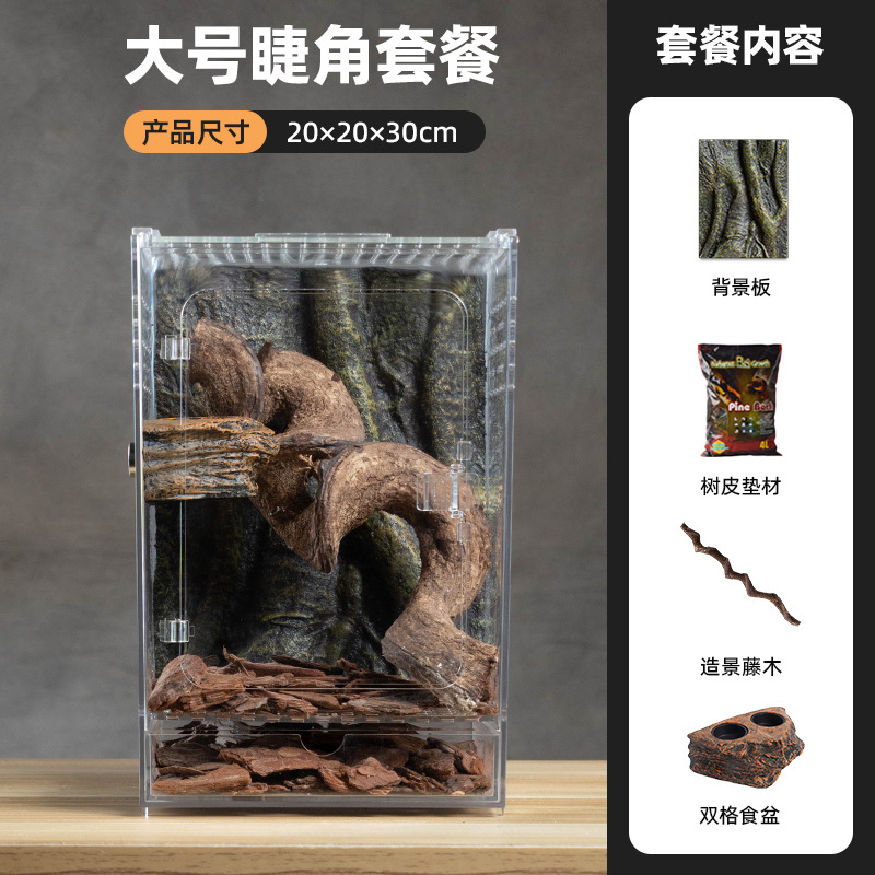 Paquet de gecko pour cils H