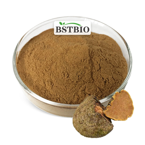 Yüksek kalite phellinus igniarius özü/phellinus linteus mantar özü 10:1 - Product Image 1