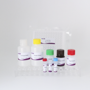 Salmonella Abortus Equi ELISAキット | 96T | CE認定 | 馬の中絶細菌抗体検査