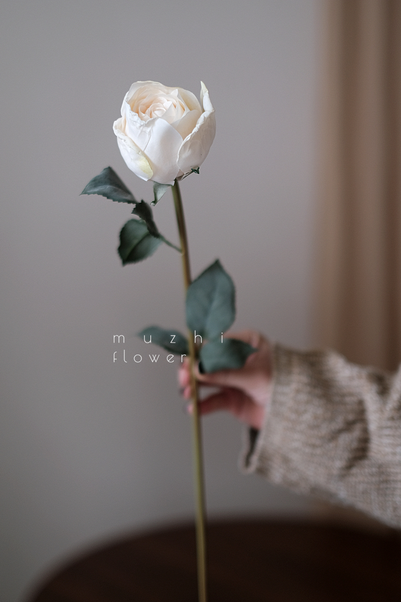 สีขาว