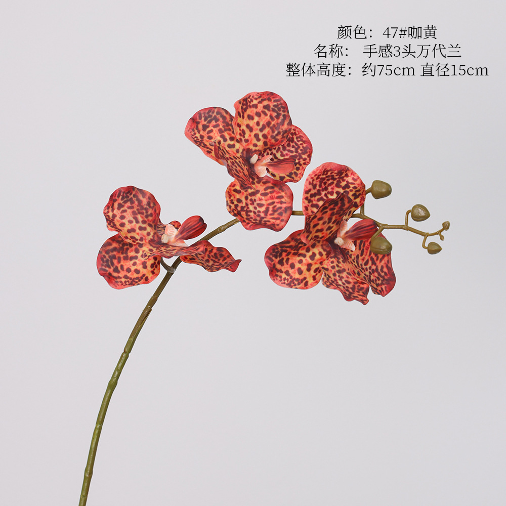 3-head vanda-47 coffee-yellow finish