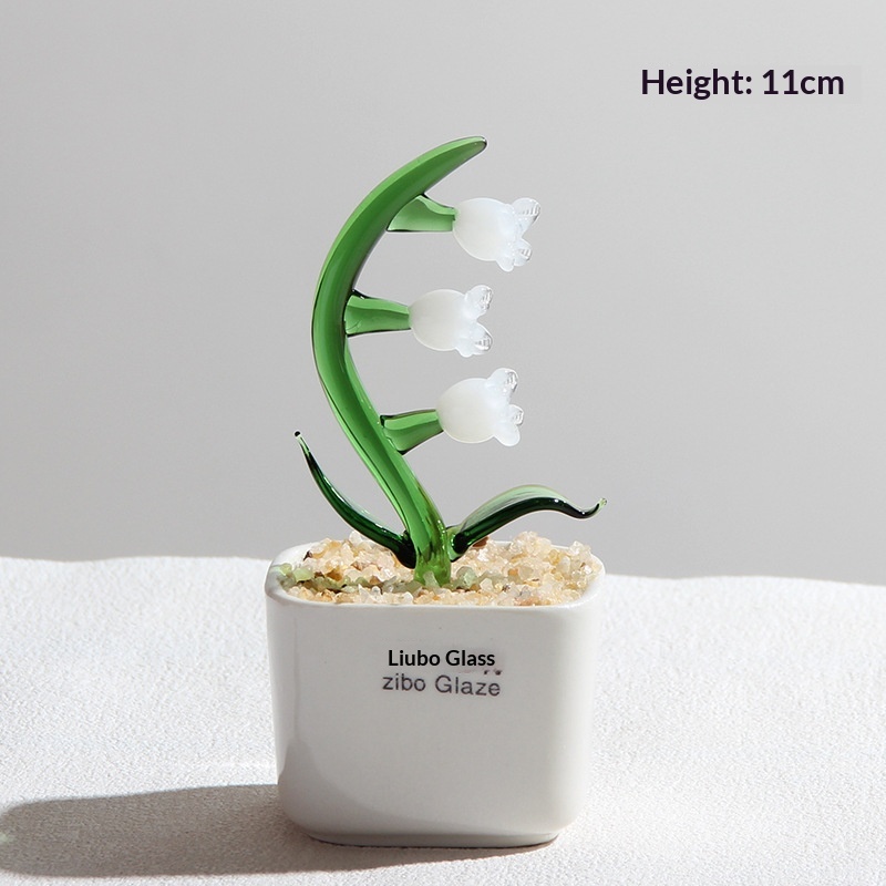 Orchidée cloche blanche