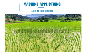 เครื่องปลูกข้าว8แถว,ที่เพาะเมล็ดและที่ปลูกข้าวสำหรับรถแทรกเตอร์คนเดิน - Product Image 6