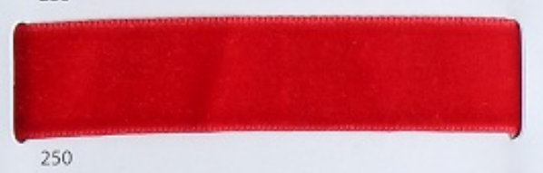 250