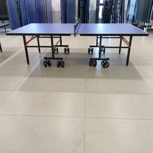 Bán Hot pingpong cấu trúc Nhôm xách tay bóng bàn tiêu chuẩn 174 Chiều dài bóng bàn giải trí trong nhà cơ sở - Product Image 3