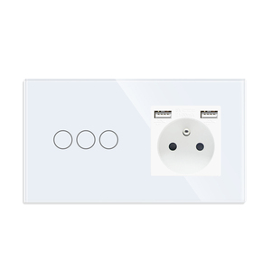 1/2/3ギャングタッチスイッチ1ウェイウォールライトスイッチフレンチポーランドソケットUSB Type-Cインターフェース付きガラスパネルブルーバックライト - Product Image 2