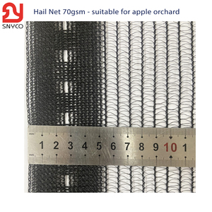 HDPE Plastic <strong>Nets</strong> 60-90 Gsm Hail Netting <strong>Excellent</strong> Value for Vegetable Garden Grape Apple Orchard Protection Insect <strong>Net</strong> Cutting