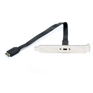 タイプEマザーボードヘッダーからUSBタイプCメスケーブル (PCIブラケット付き)