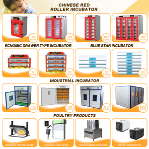 WONEGG şarj edilebilir dijital otomatik Chocadeiras Couveuse 112 Solaire Automatique 1000 yumurta Incubateur Oeuf brubrutmaschine - Product Image 3