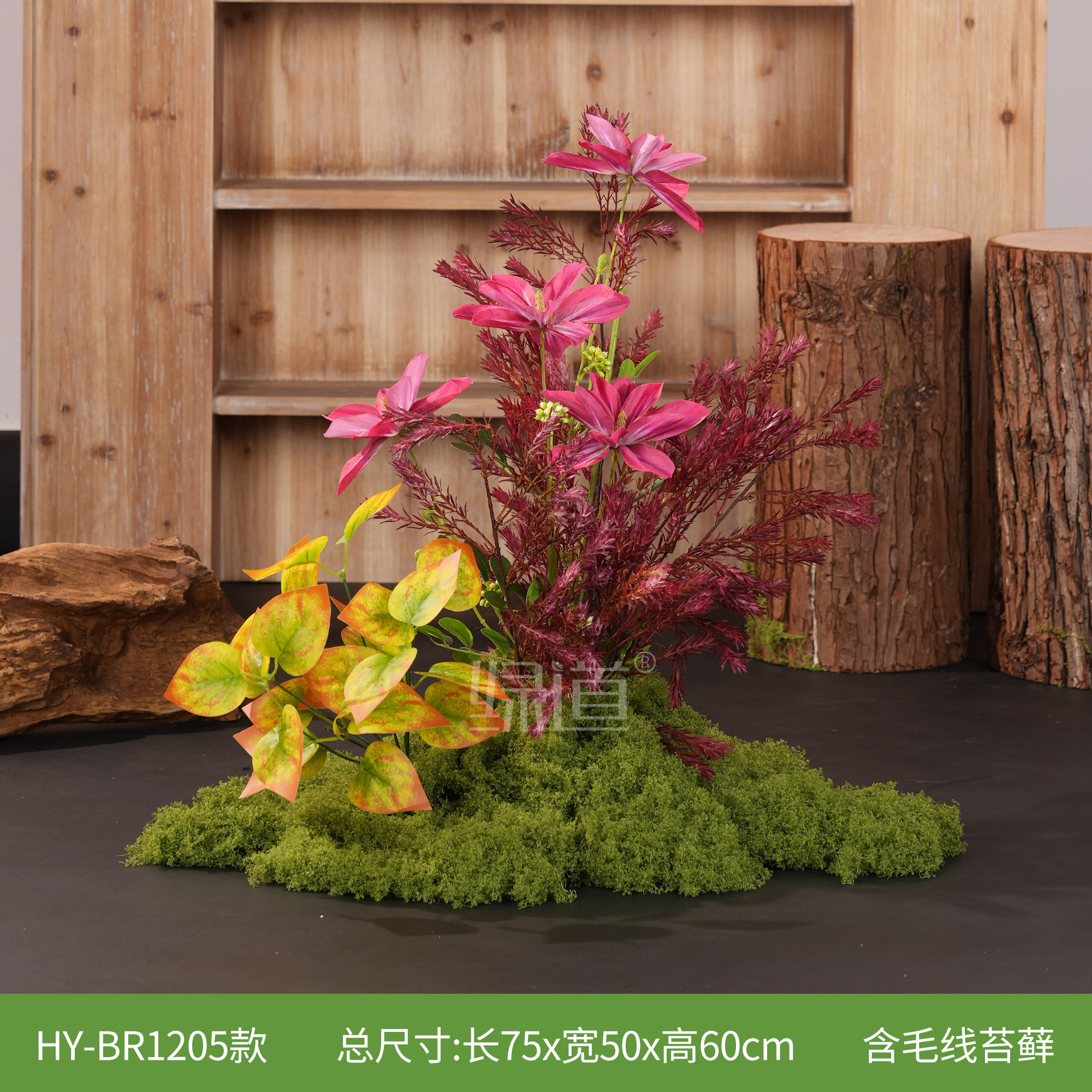HY-BR1205