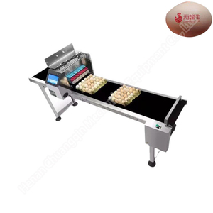 Impresora de fecha codificación de huevo automática máquina de impresión por inyección - Product Image 4
