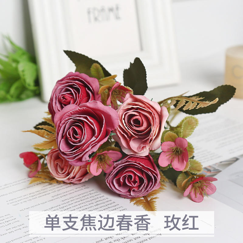 Le parfum simple de ressort de bord de coke s'est levé rouge