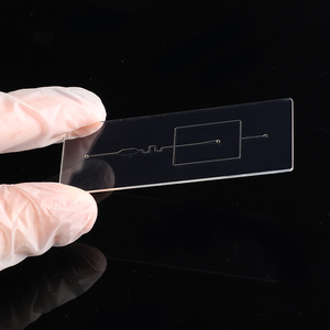 Custom Injection Molding Fluidic Core Life Science Acrylic Parts Machining Medical Mold Microfluidic Chip for <strong>Gene</strong> Detection - Product Image 1