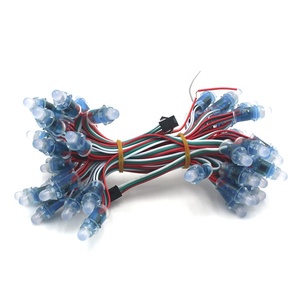 5V Waterproof Full Color WS2811 12mm IP68 <strong>Bullet</strong> <strong>LED</strong> PIXEL Light for Christmas Decoration <strong>LED</strong> Modules Mesh Light Pixel <strong>Led</strong> 12V - Product Image 4