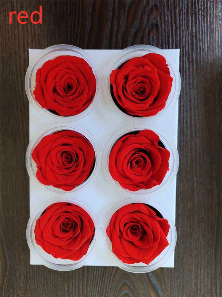 Rojo