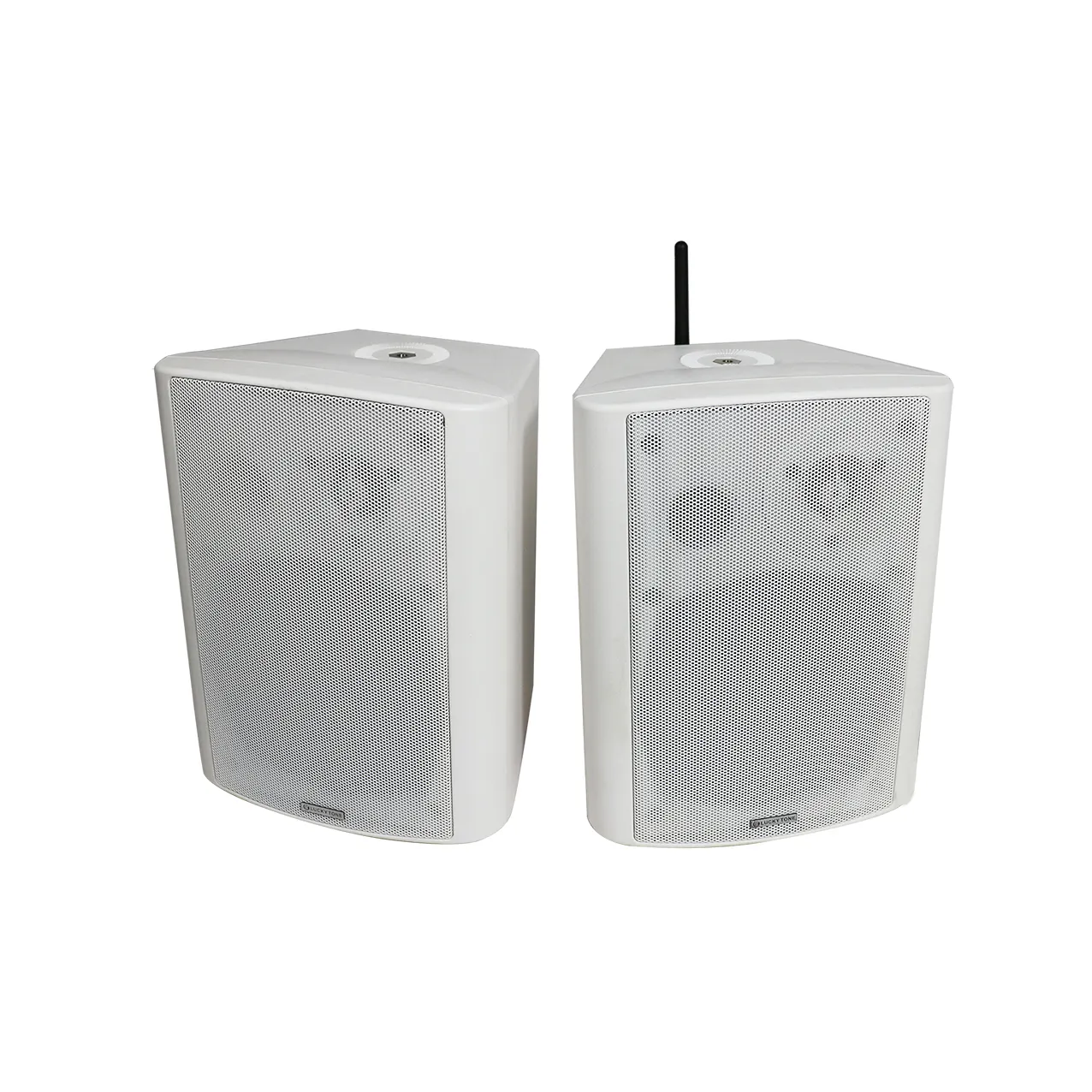 T Custom 2*30W Actieve Bluetooth Luidspreker Pa Openbaar Adres Muur Gemonteerde Ip Passieve Luidspreker Met 2.4G Draadloze Microfoon