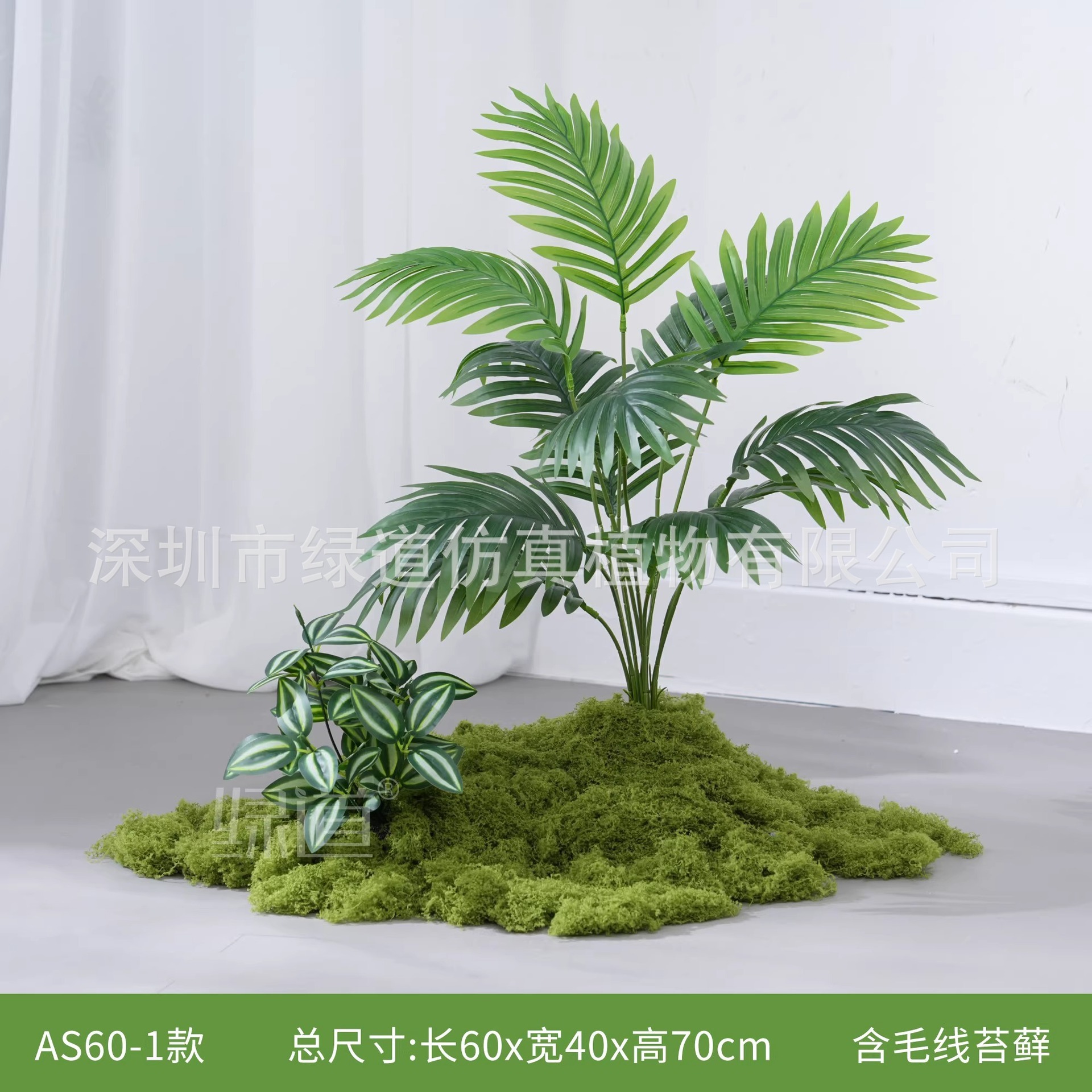 AS60-1