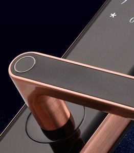 Khóa Cửa Thông Minh Chống Nước 5 Trong <span class=keywords><strong>1</strong></span> Vân Tay Sinh Trắc Học Hiện Đại Có Chìa Khóa Tay Nắm Cửa - Product Image 2