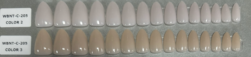 WBNT-C-205 COULEUR 2 WBNT-C-205 COULEUR 3