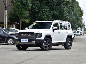 YYC yeni new Raptors 2023 HI4 102 keşif sürümü SUV benzinli araç sıcak satış