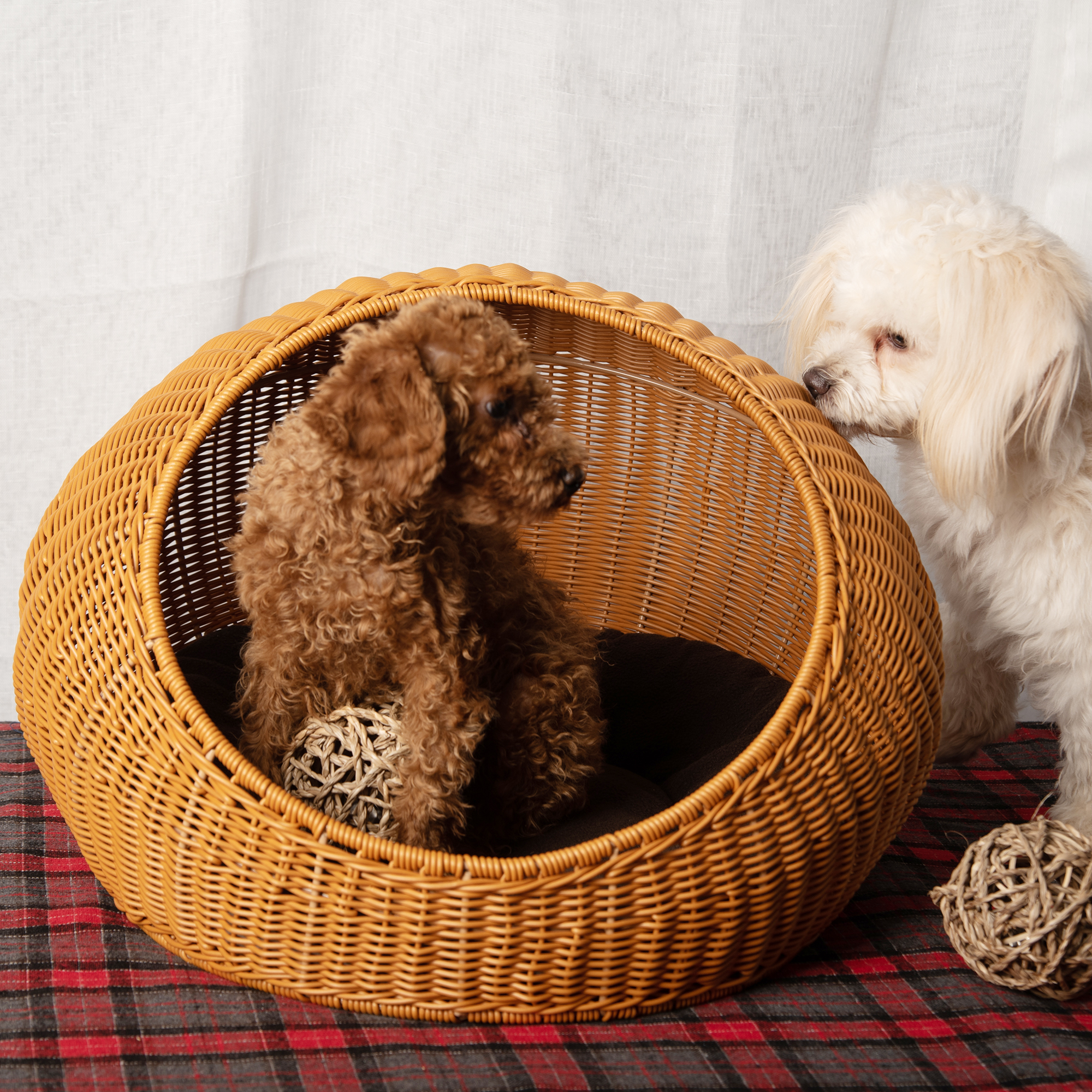 Panier pour animaux de compagnie en forme de dôme