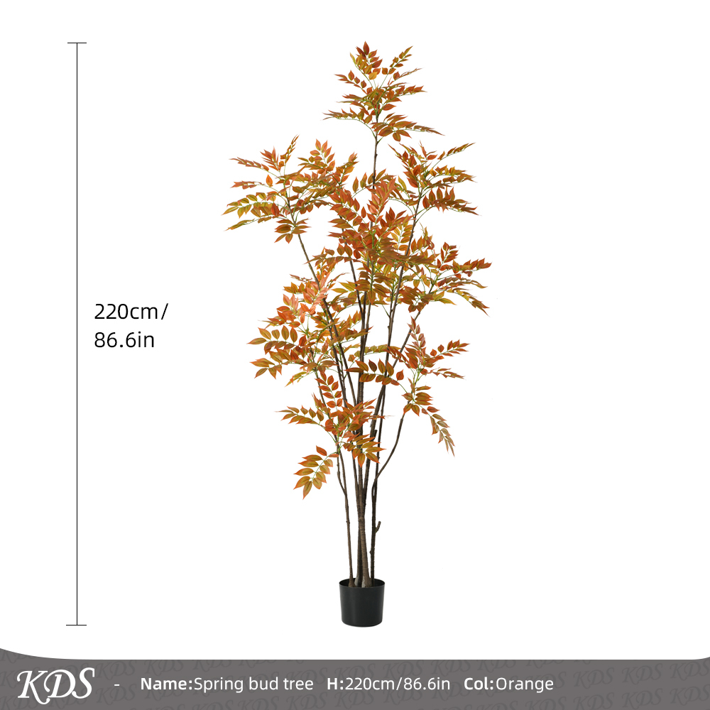 Orange 2,2 m 12 têtes