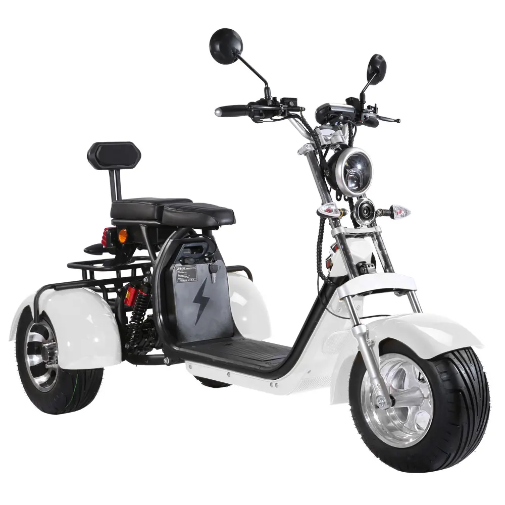 Sepeda motor Trike 2024 (T300L)