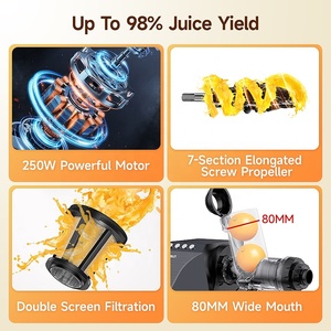 One Stop Kitchen 5 in 1 มัลติฟังก์ชั่นเครื่อง 250W ผักและผลไม้ผลผลผลิตน้ําผลไม้สูงคั้นน้ําผลไม้ช้าพร้อมฟังก์ชั่นย้อนกลับ - Product Image 3