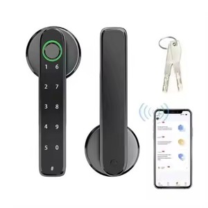 TuYa APP uzaktan kontrol kolu elektrikli anahtarsız giriş tipi C şarj portu ile ev için parmak izi şifre akıllı kapı kilidi - Product Image 2
