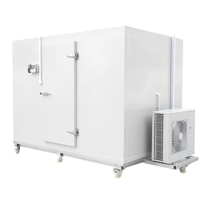 Camminata nel congelatore/refrigeratore cella frigorifera attrezzatura per unità di condensazione contenitore Mobile cella frigorifera con rimorchio