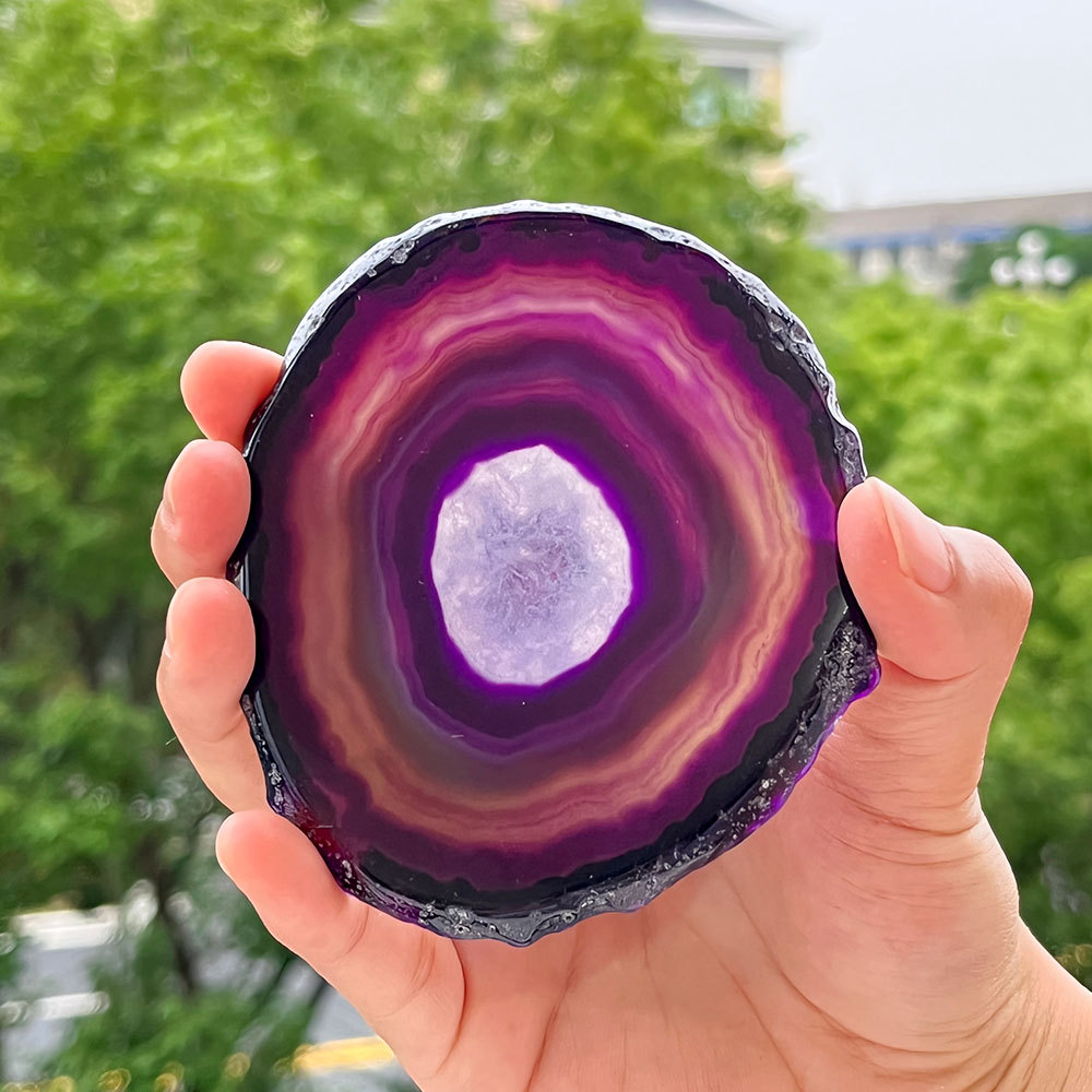 Viola
