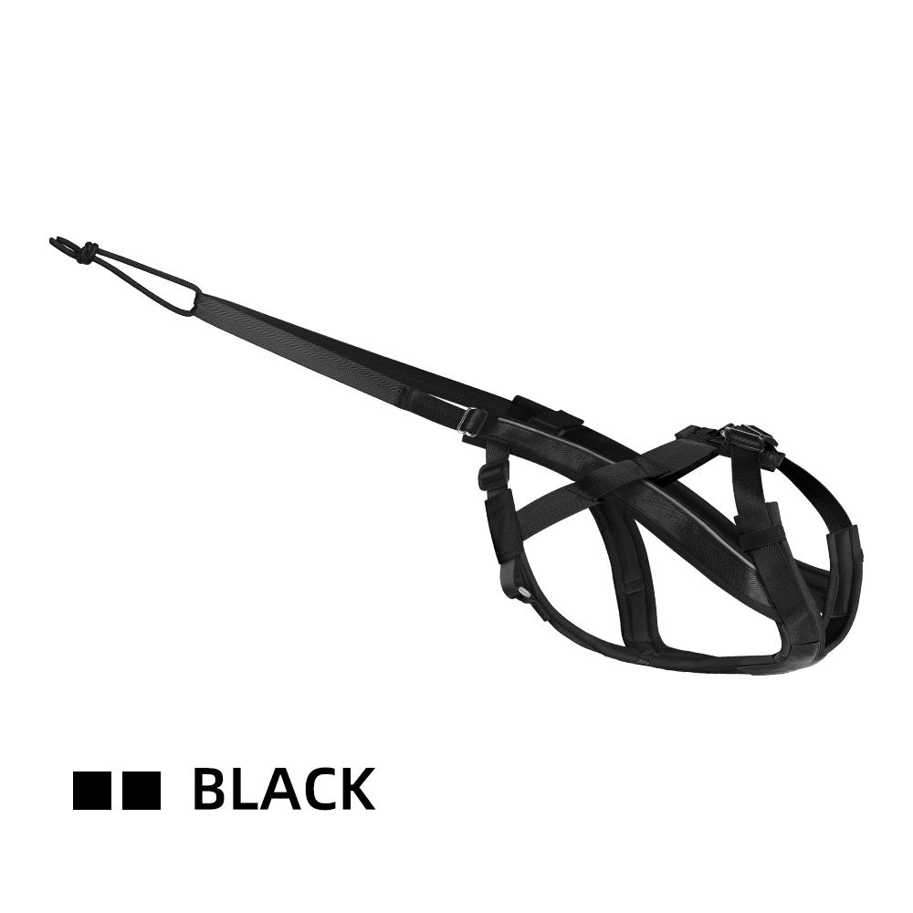 Noir