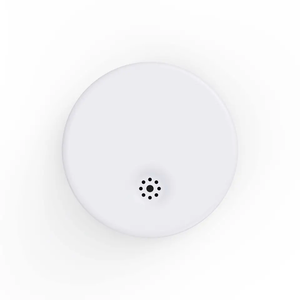 S5 Smart Wireless <strong>Temperature</strong> Humidity Data Logger <strong>Temperature</strong> Beacon <strong>Sensor</strong> Logging Points for Cold Chain - Product Image 3