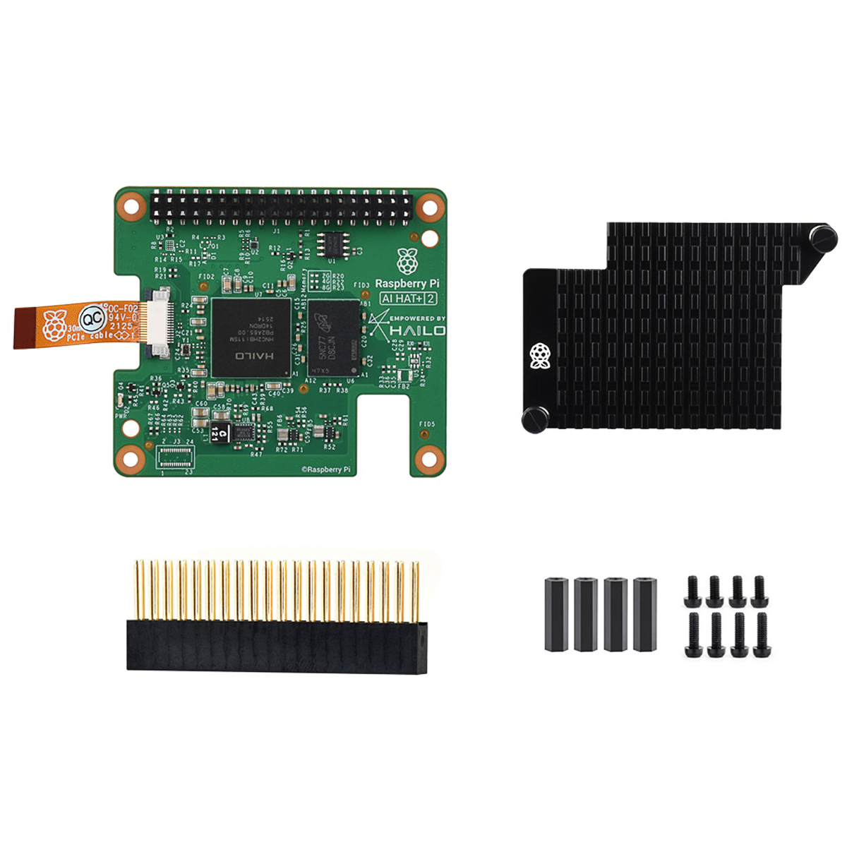 RPI-AI-HAT2