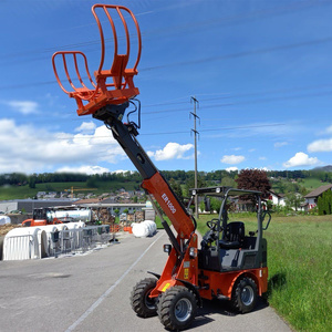 Everun ER1000 900kg Small Telehandler <strong>with</strong> Pallet <strong>Forks</strong> Micro <strong>Front</strong> <strong>End</strong> Bucket Compact Telescopic Mini Wheel <strong>Loader</strong> - Product Image 1