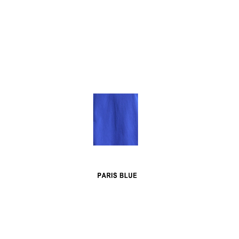 paris blue