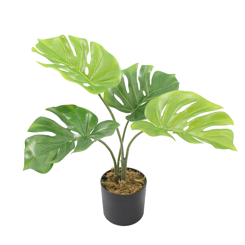 Green-50cm