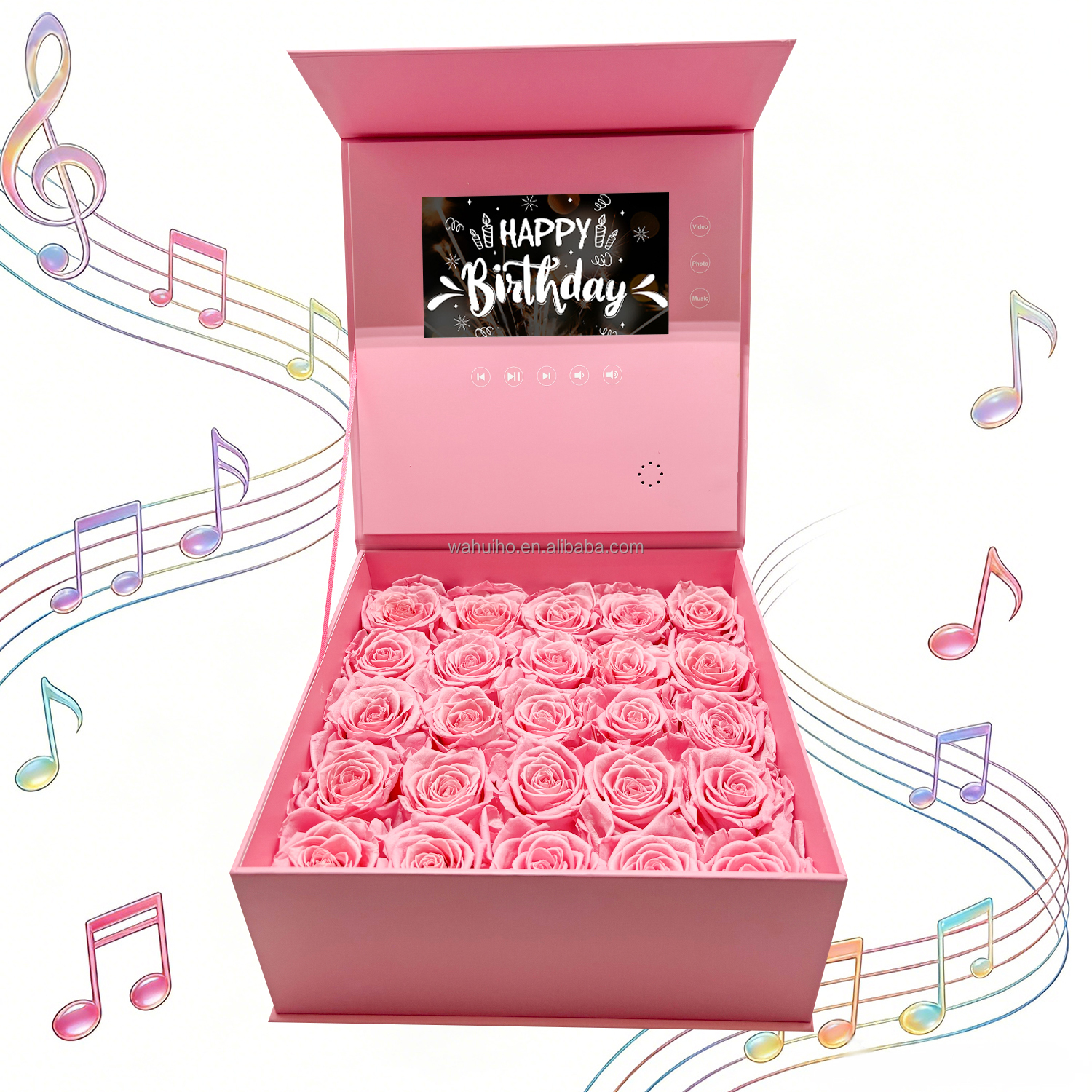 25 pink rose