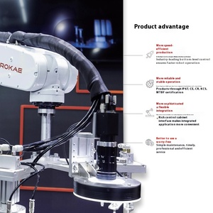 ROKAEコラボレーティブインダストリアルロボット6軸アームパレット化ロボット複合ロボット - Product Image 5