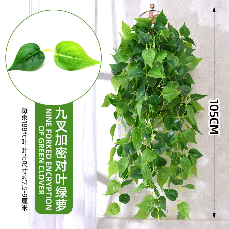9-forked pointed pothos leaf hanging