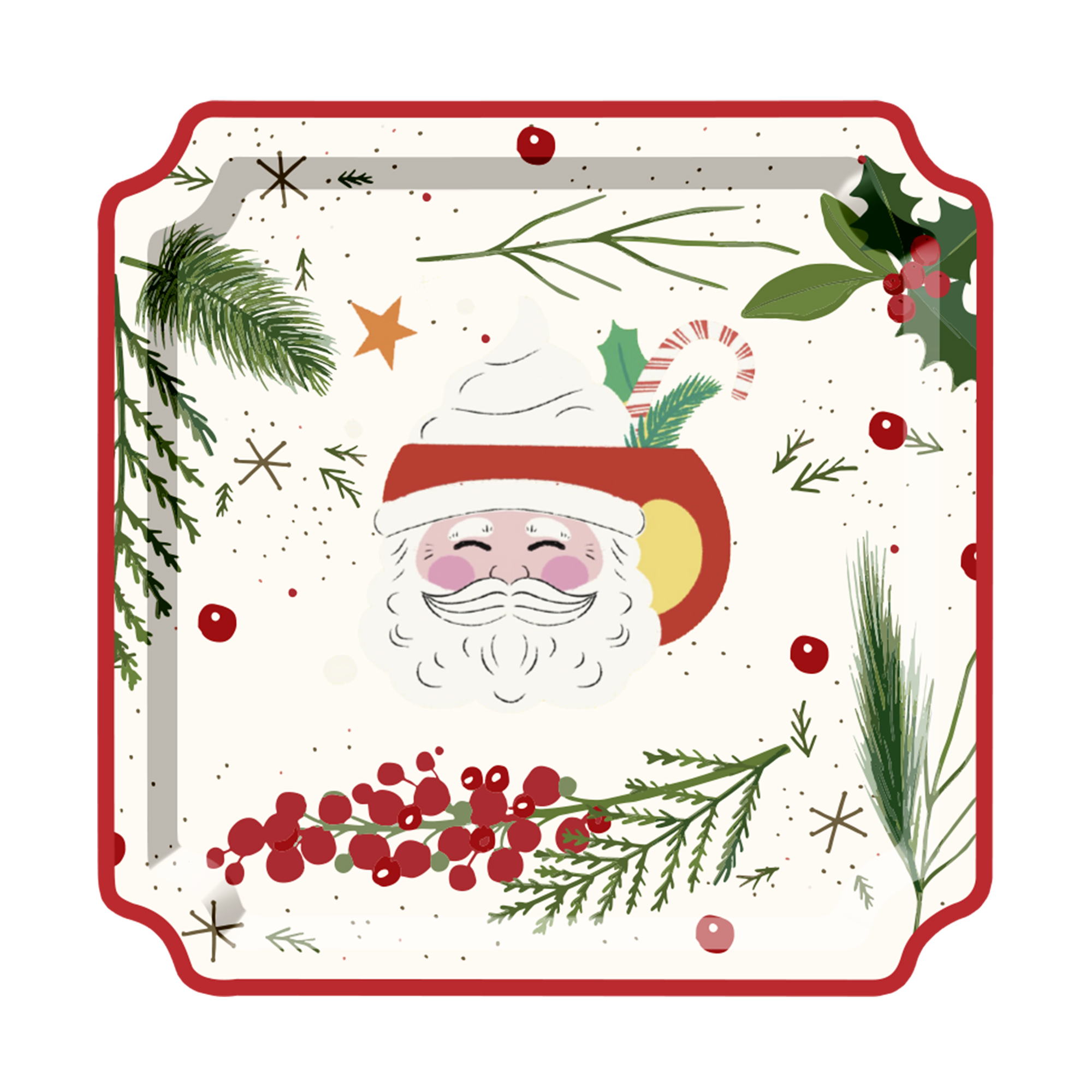 10.5inch plate*8pcs
