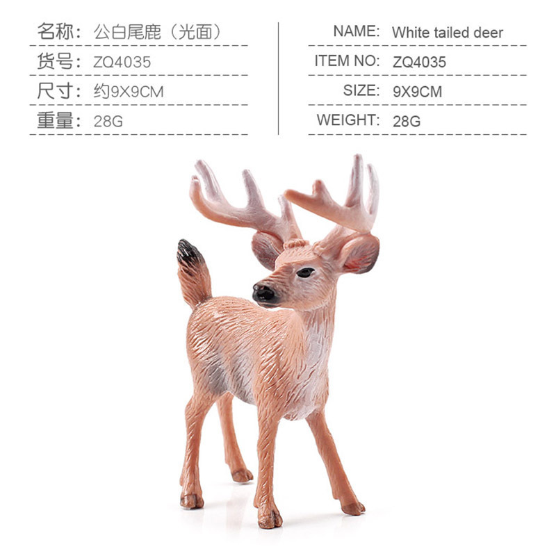 Cerf mâle à queue blanche coloré 4035, 28g