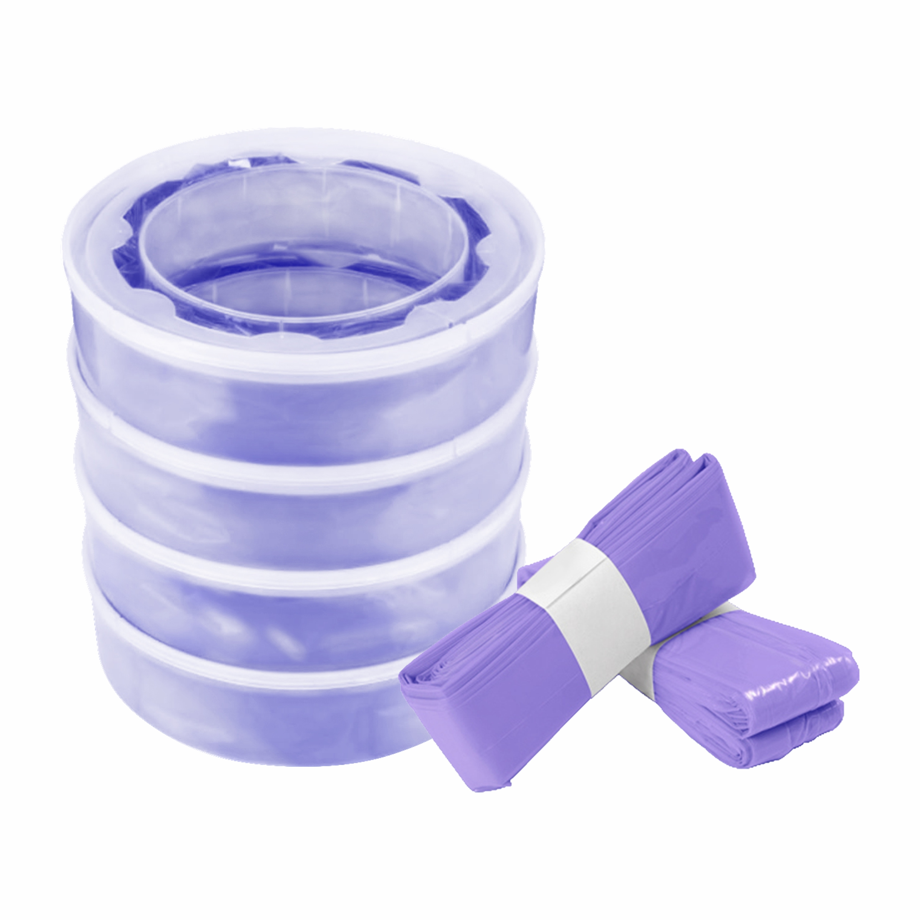 Pourpre