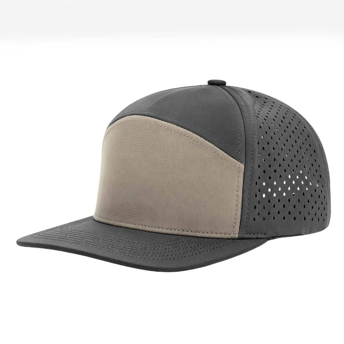 Camello+negro