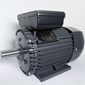 2.2kw 3Hp单相交流电机ML系列，带铝壳YC系列电动机，用于50hz输入功率 - Product Image 1