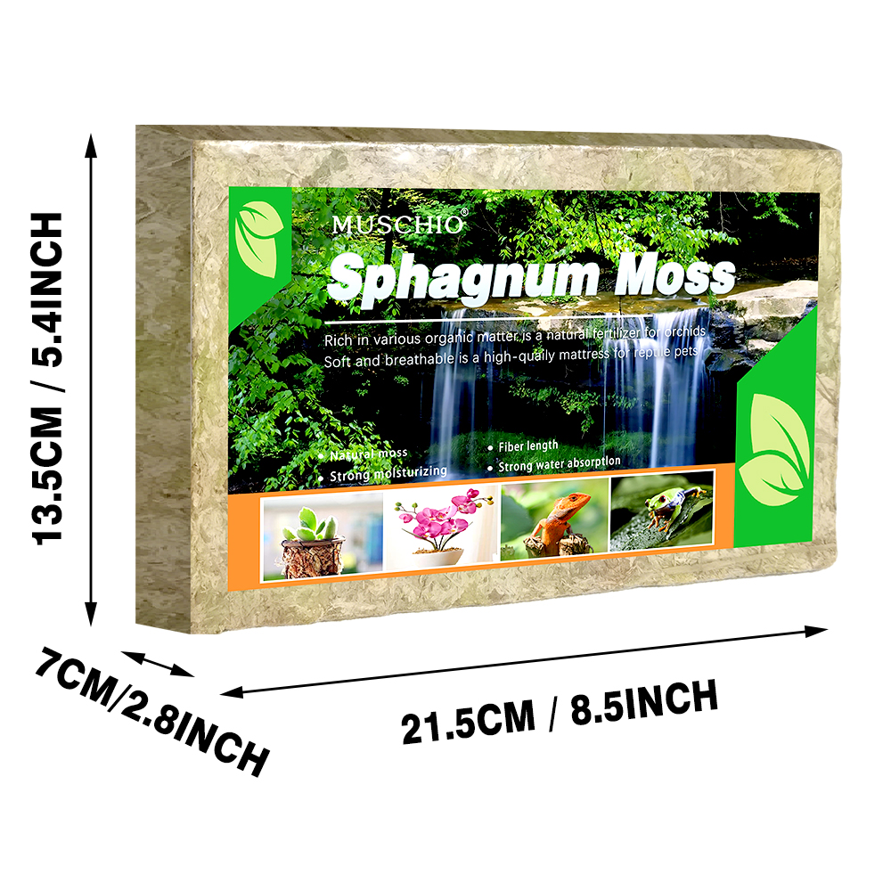 500g