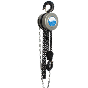 手动Pully Block 1t 2吨3t 5t 10t 3m 6m G80环链葫芦Hsz型手链滑车 - Product Image 6